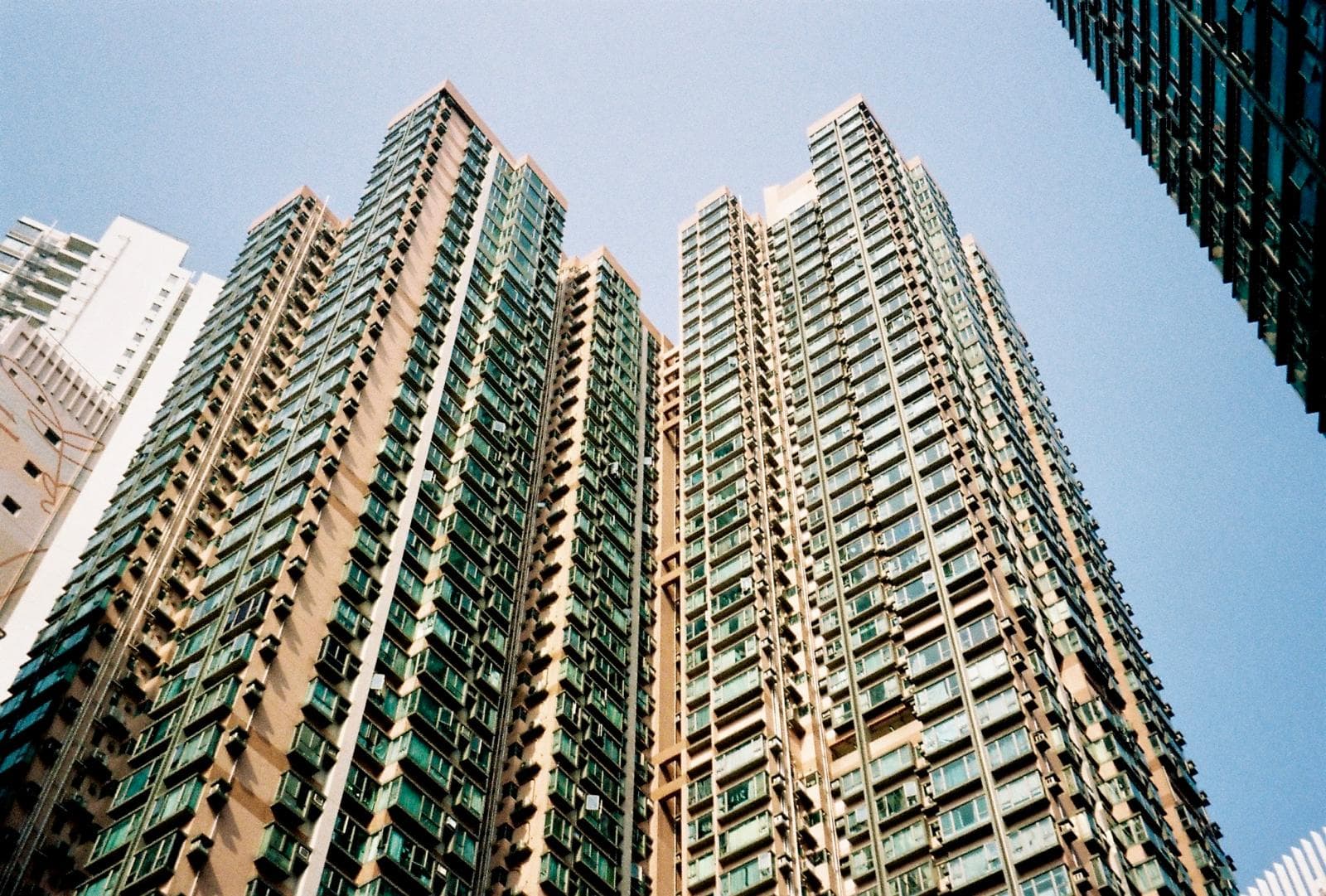Photography by Elisa Paiusco