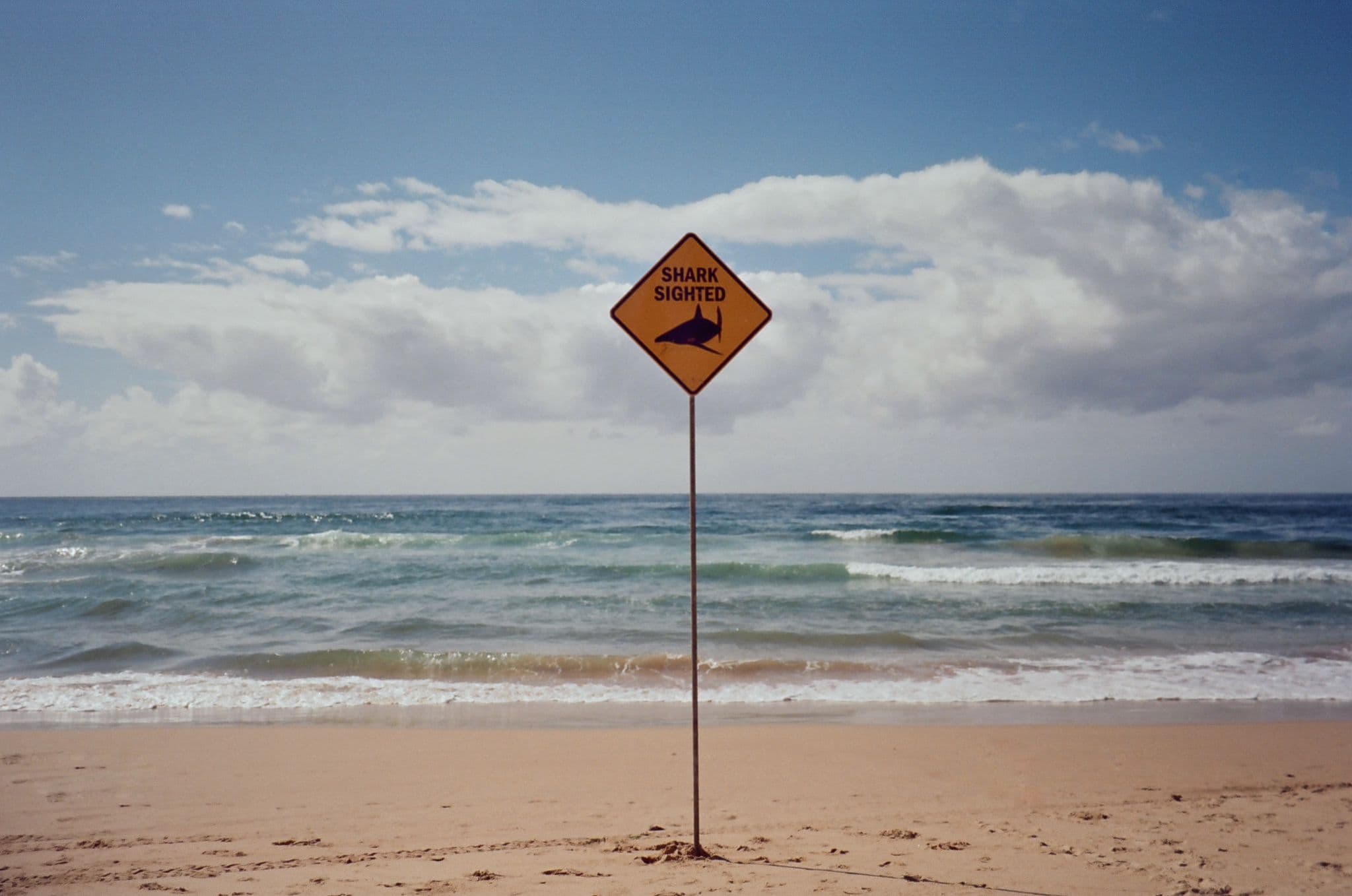 Shark Sighted sign on an Australian beach